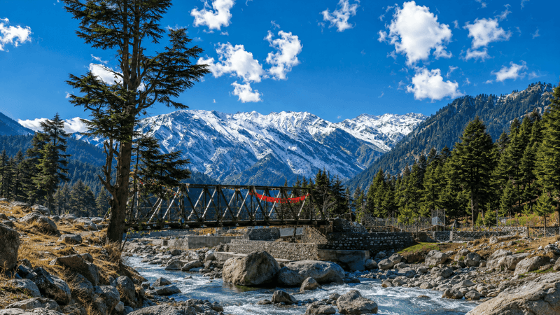 The Bhagirathi at Harsil with a footbridge, deodar trees and snow peaks
